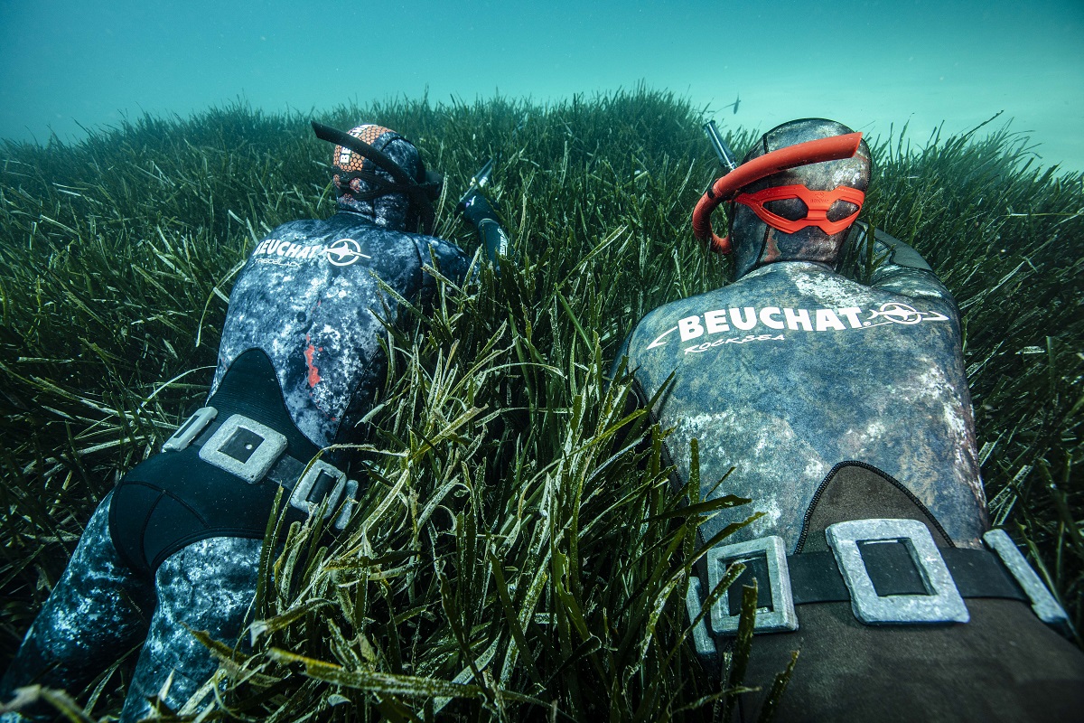 Deux chasseurs en apnée au fond de l'eau avec leurs ceinture de lestage en néoprène